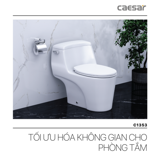 Bàn cầu 1 khối C1353 + TAF060